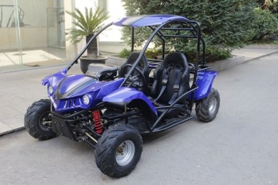 Cheap buggies shop for sale