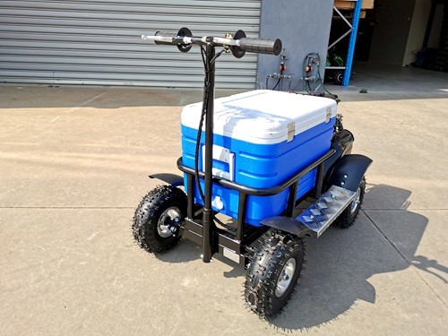 Motorised best sale esky 80cc