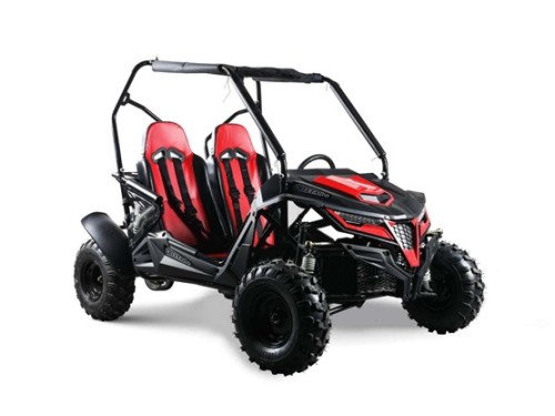 gy6 buggy