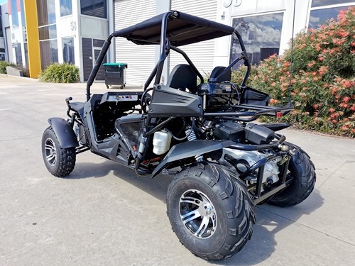 250cc 2024 dune buggy