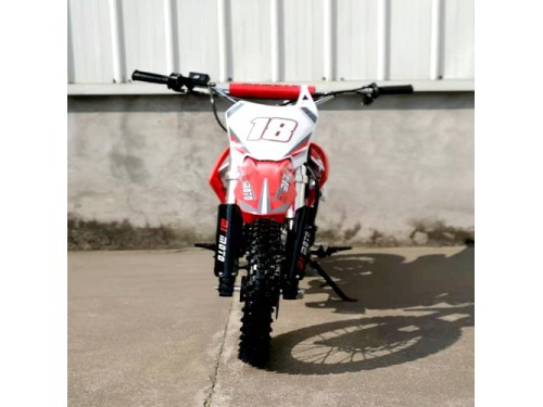 110cc dirt bike kids teens