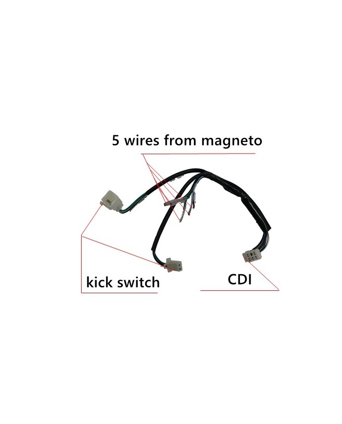 pit bike wiring harness