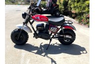 TrailMaster MB200 Hurricane 200X Mini Bike in Red - MJ Motor