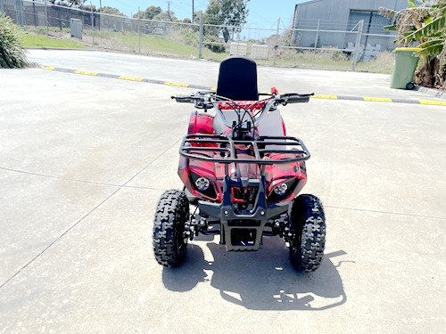 Mini quad bike clearance 125cc