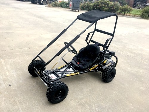 Dune buggy best sale with roll cage